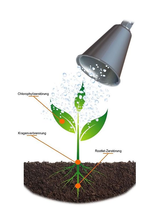 Oeliatec HOEDIC Unkrautbekämpfung Heißwasser