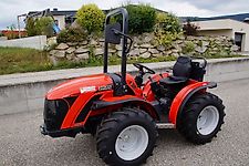 Carraro TIGRE 3800 Schlepper Traktor Pasquali
