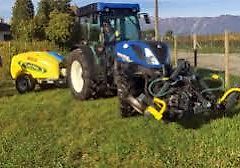 caffini grass killer