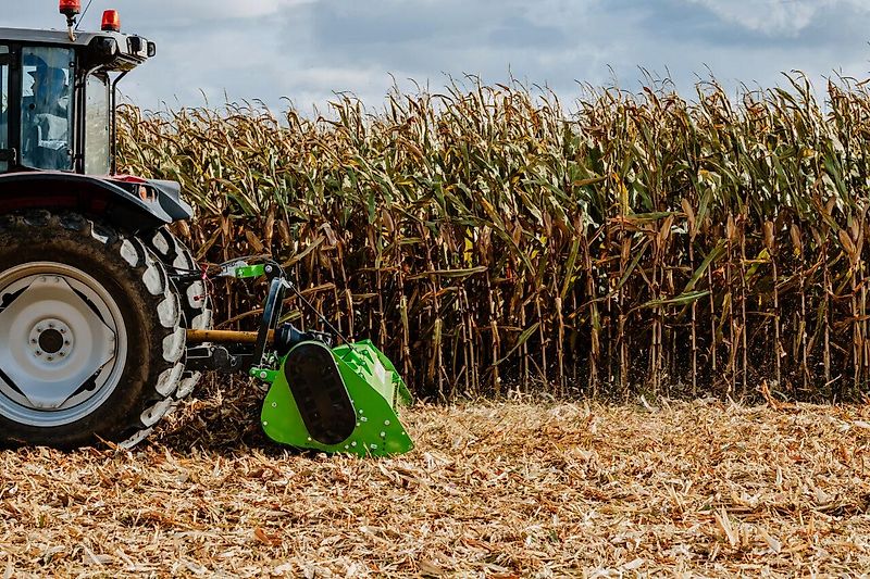 TALEX LEOPARD DUO 2,0