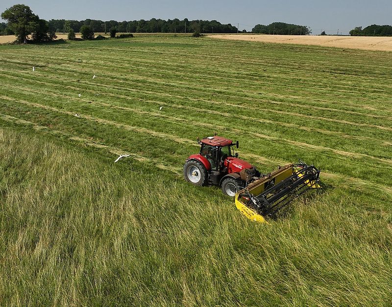 Honey Bee ST 30 - BANDSCHWADMÄHWERK