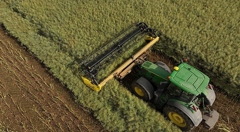 Honey Bee ST 30 - BANDSCHWADMÄHWERK