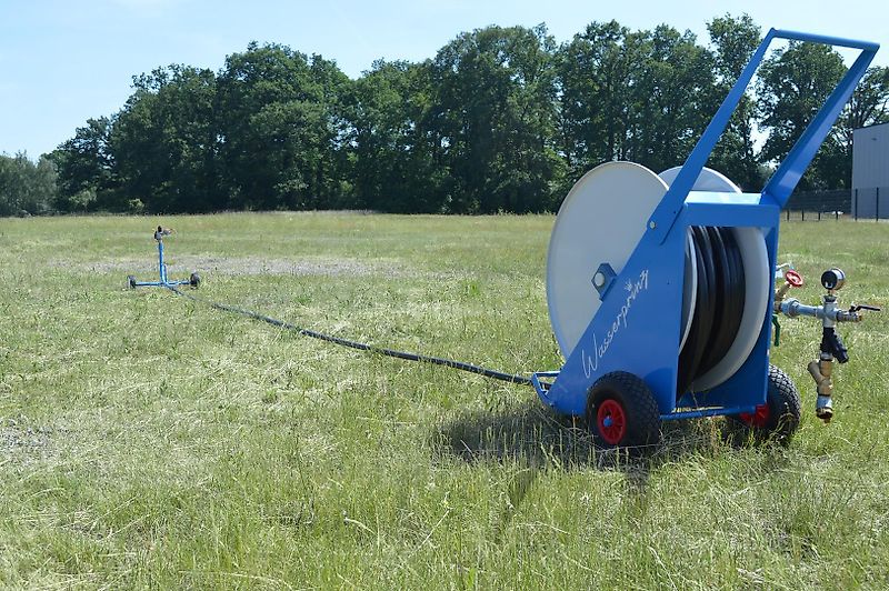 Buchholz Wasserprinz