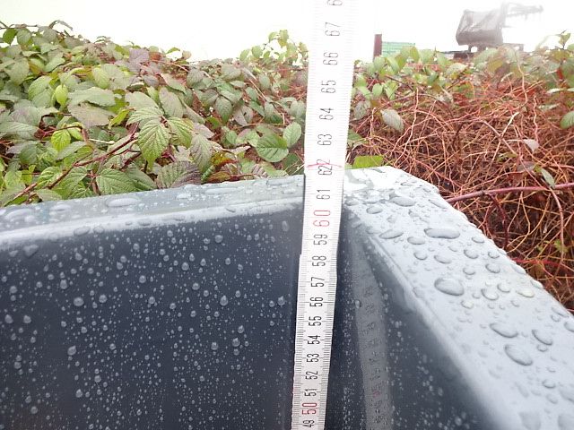 Heckkontainer- Kippmulde in verschiedenen Breiten möglich - 1 Meter  - 1,2 Meter - 1,4 M - 1,6 M - 1,8 M - 2 Meter Dreipunktanbau 1M - 1,2 M - 1,4 M - 1,6 M - 1,8 M - 2 Meter- Heckkontainer - Dreipunktanbau - Auskippbar